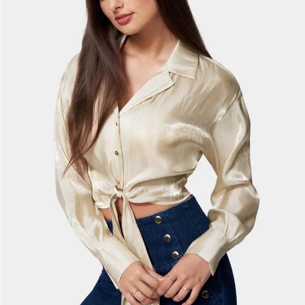 Bebe Shiny Chiffon Top